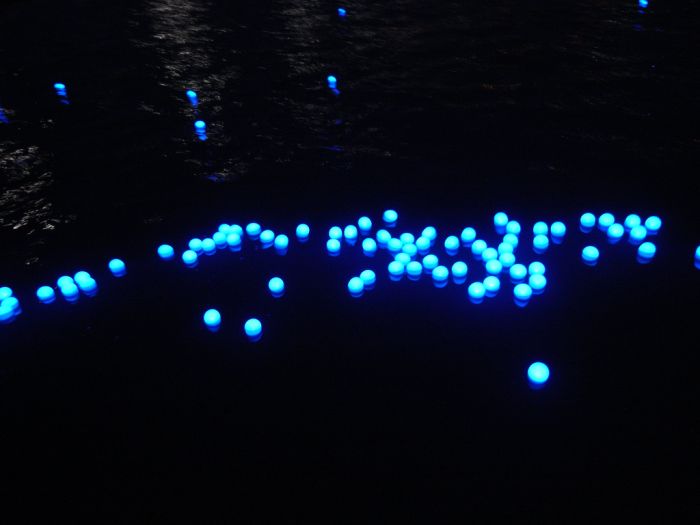 River of light with electronic LED fireflies, Sumida river, Tokyo