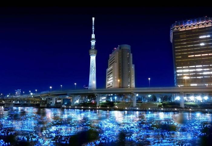 River of light with electronic LED fireflies, Sumida river, Tokyo