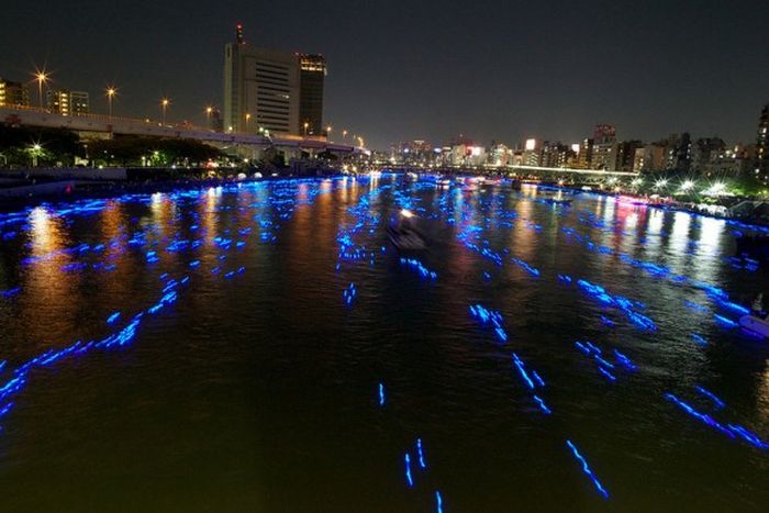 River of light with electronic LED fireflies, Sumida river, Tokyo