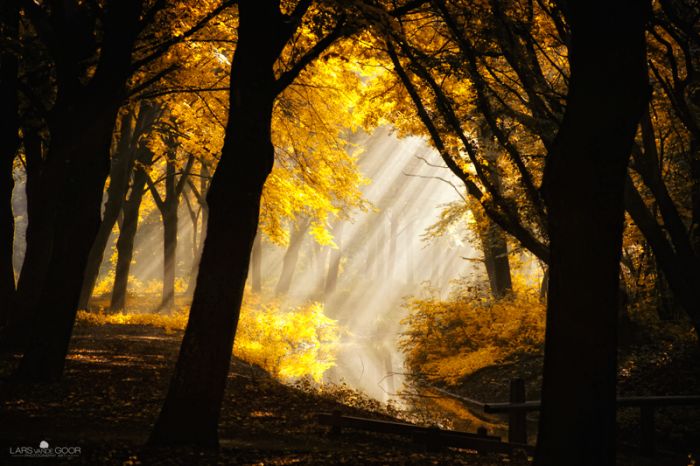 Nature landscapes by Lars Van De Goor