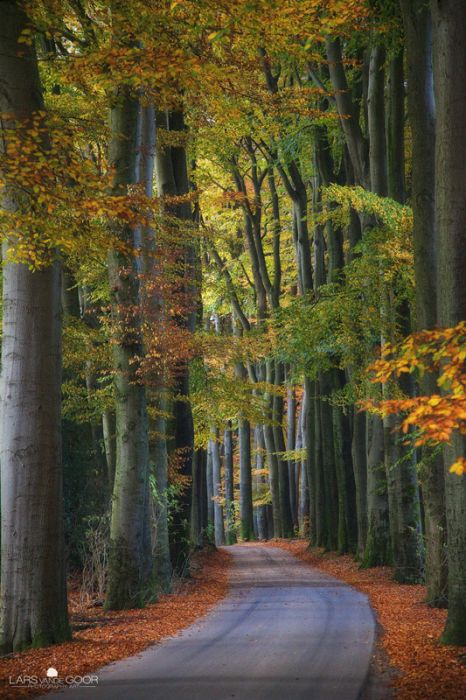 Nature landscapes by Lars Van De Goor