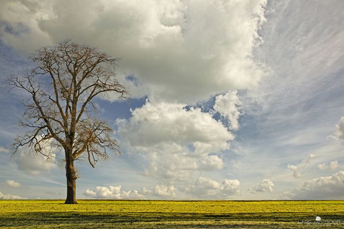 Nature landscapes by Lars Van De Goor