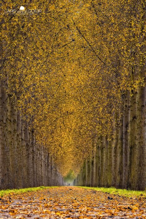 Nature landscapes by Lars Van De Goor