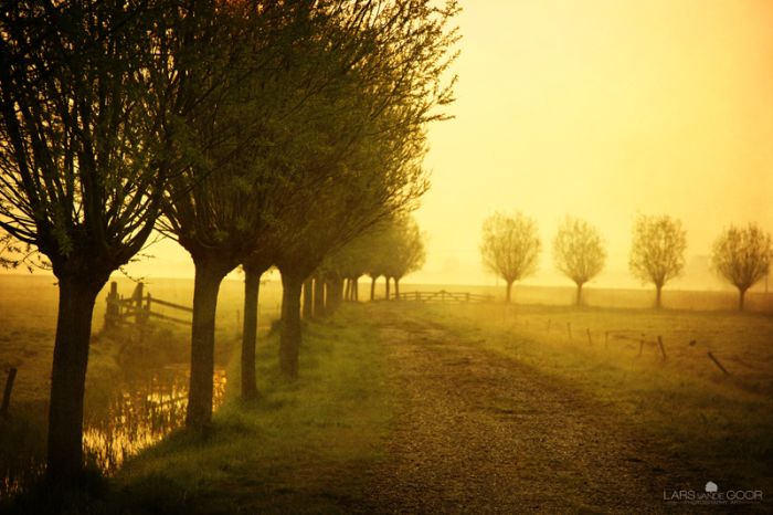 Nature landscapes by Lars Van De Goor