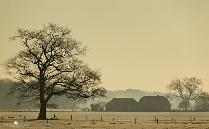 Nature landscapes by Lars Van De Goor