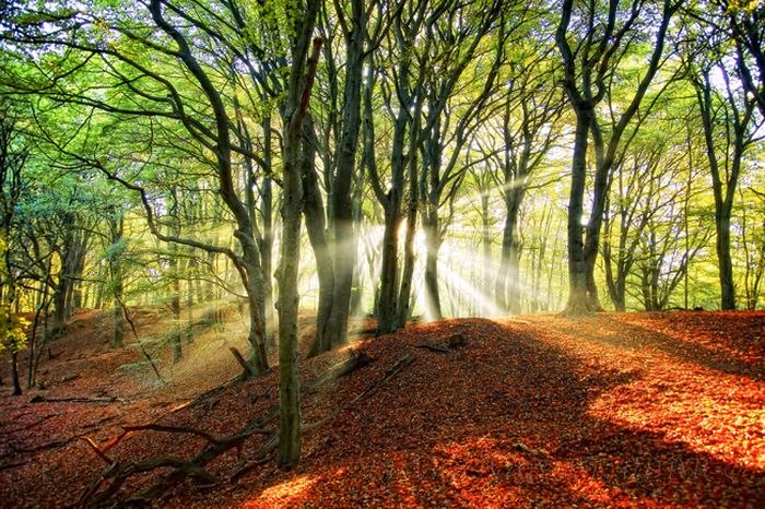 Nature landscapes by Lars Van De Goor