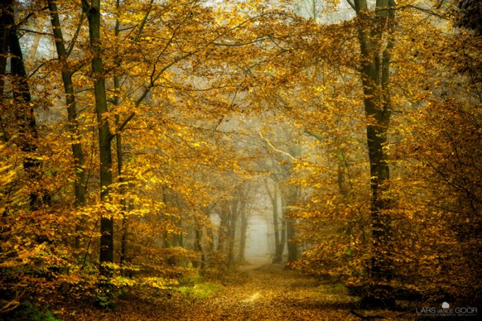 Nature landscapes by Lars Van De Goor