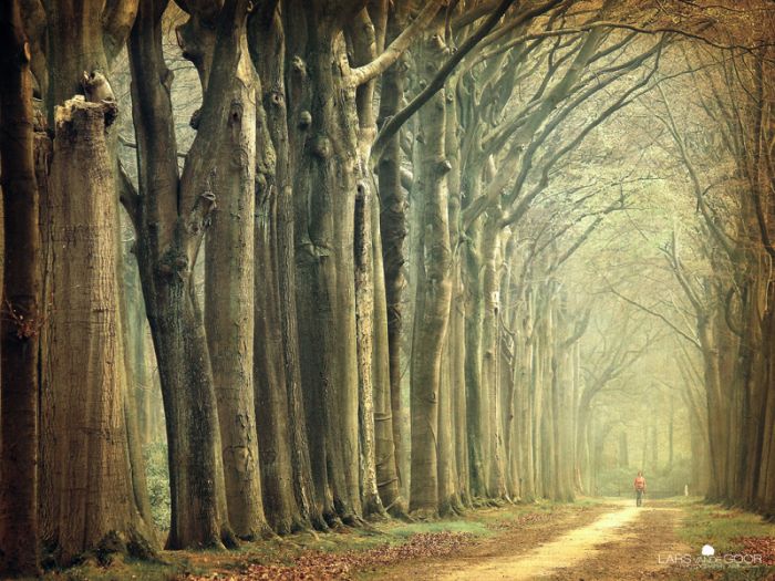 Nature landscapes by Lars Van De Goor