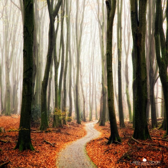 Nature landscapes by Lars Van De Goor