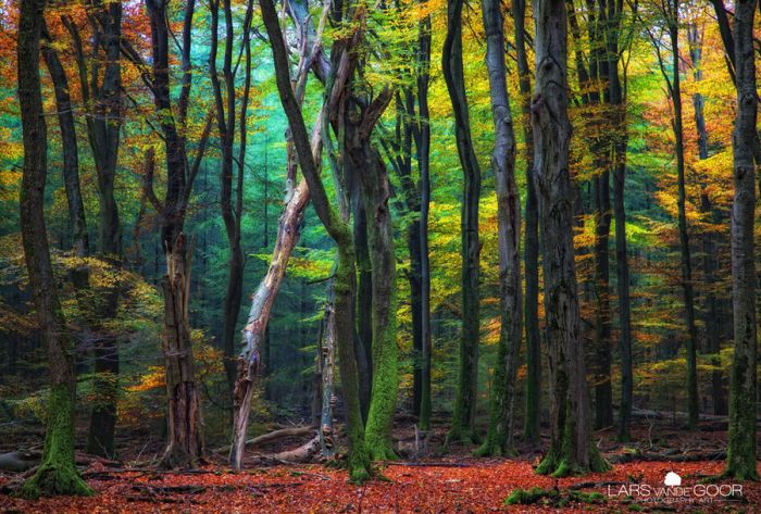 Nature landscapes by Lars Van De Goor