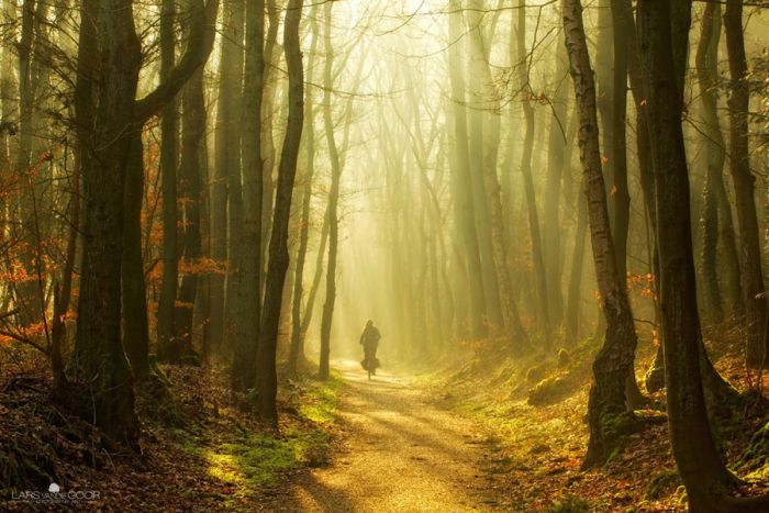 Nature landscapes by Lars Van De Goor