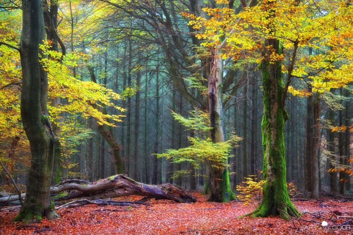 Nature landscapes by Lars Van De Goor