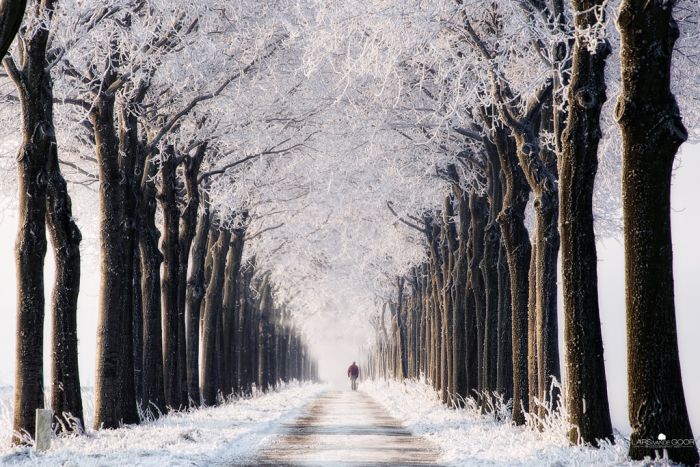 Nature landscapes by Lars Van De Goor