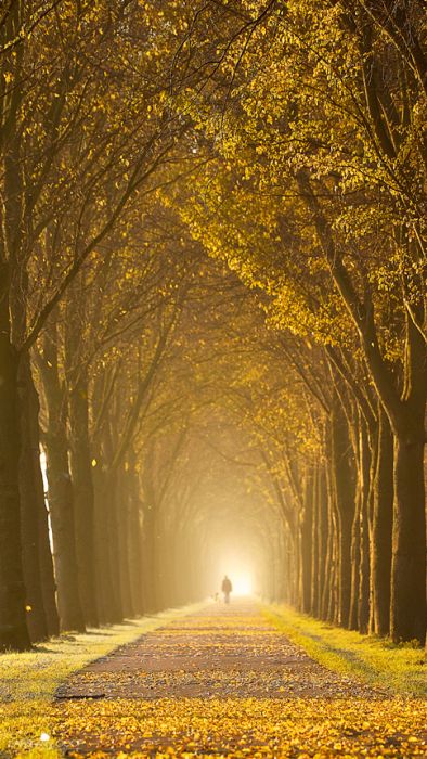 Nature landscapes by Lars Van De Goor