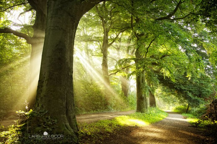 Nature landscapes by Lars Van De Goor