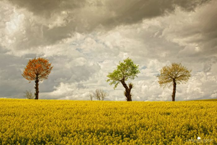 Nature landscapes by Lars Van De Goor