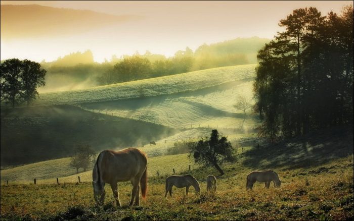 world travel landscape photography