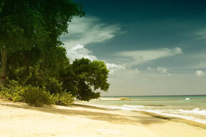 photos of beaches and shorelines