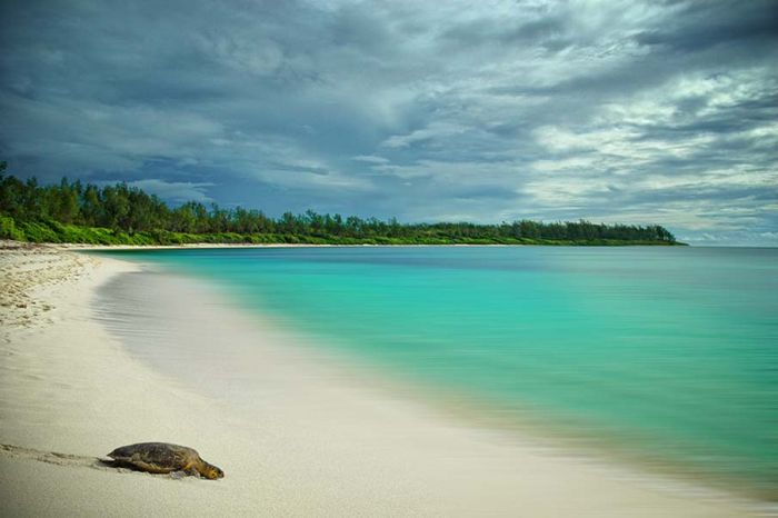 photos of beaches and shorelines