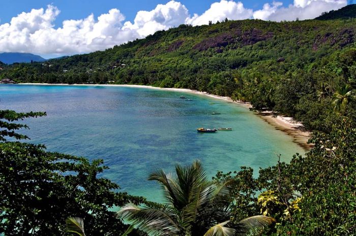 photos of beaches and shorelines