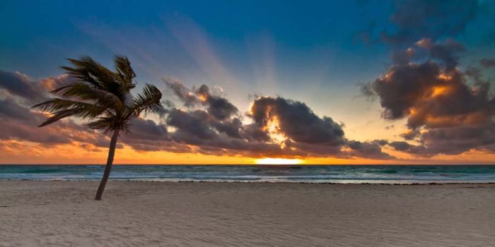 photos of beaches and shorelines