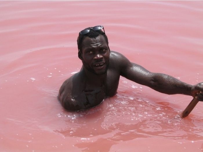 Lake Retba, Lac Rose, Dakar, Senegal