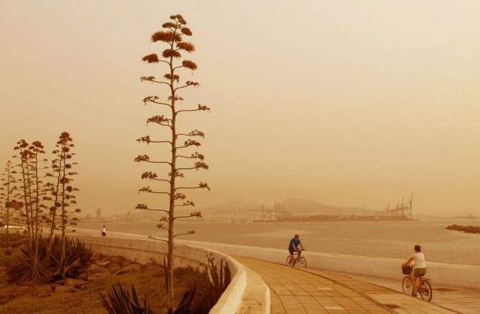 Calima, Saharan Air Layer, Sahara, Canary Islands, Africa