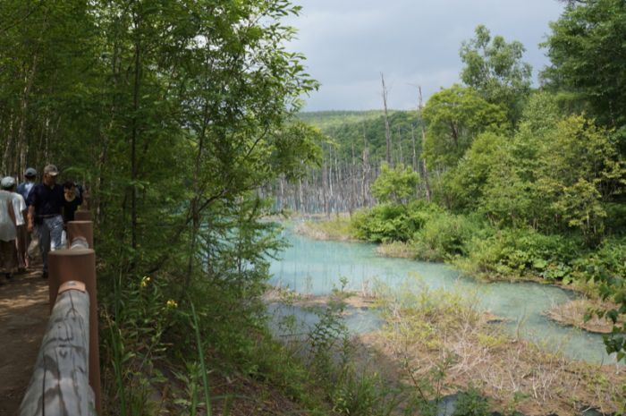 Aoiike, Blue Pond, Biei, Shirogane Onsen, Kamikawa (Ishikari) District, Hokkaido, Japan