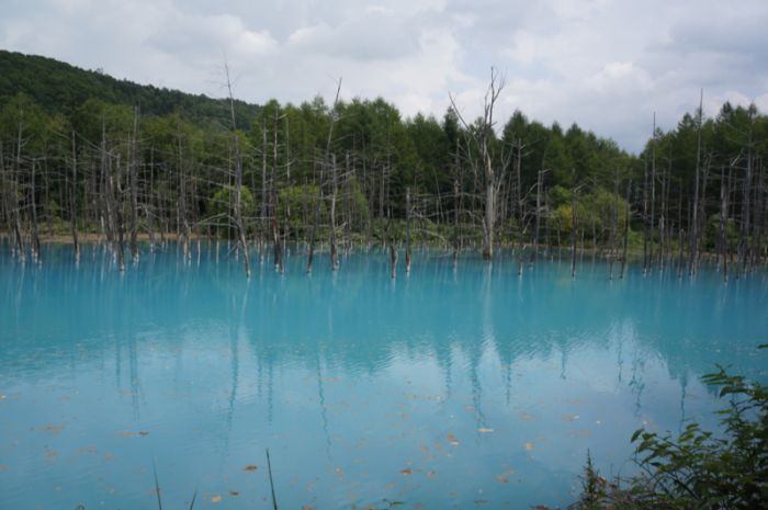 Aoiike, Blue Pond, Biei, Shirogane Onsen, Kamikawa (Ishikari) District, Hokkaido, Japan