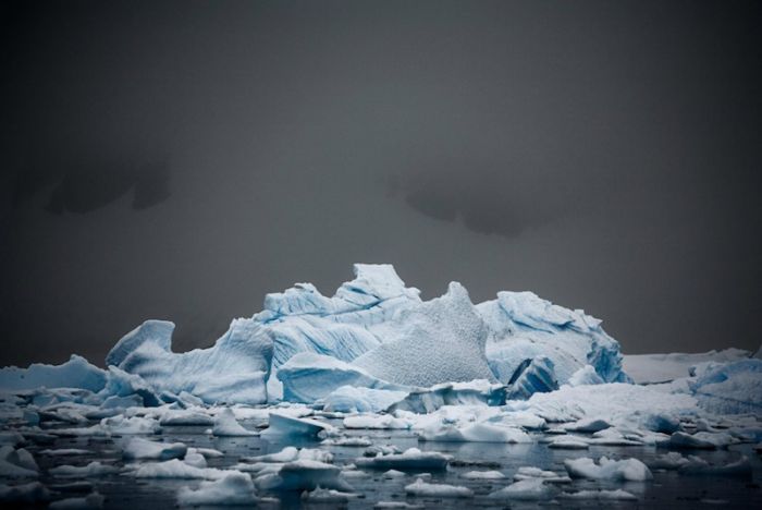 The Last Iceberg by Camille Seaman