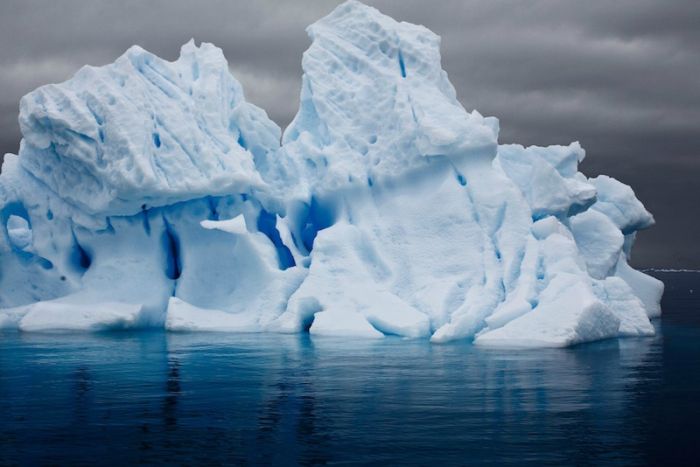 The Last Iceberg by Camille Seaman