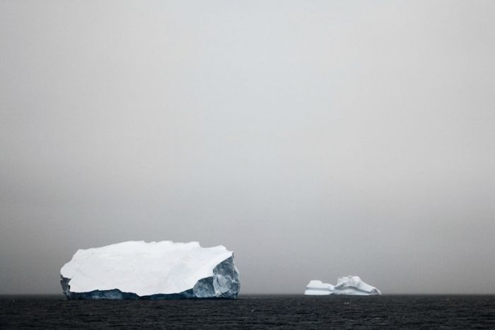 The Last Iceberg by Camille Seaman