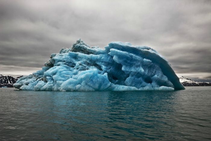 The Last Iceberg by Camille Seaman