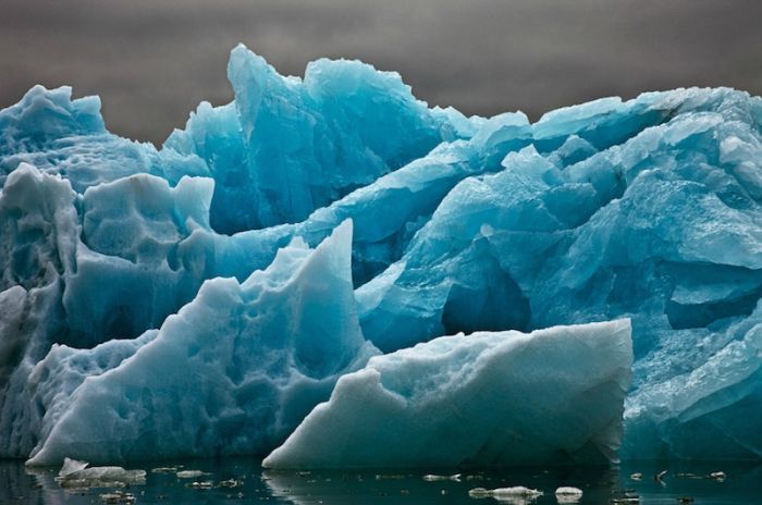 The Last Iceberg by Camille Seaman