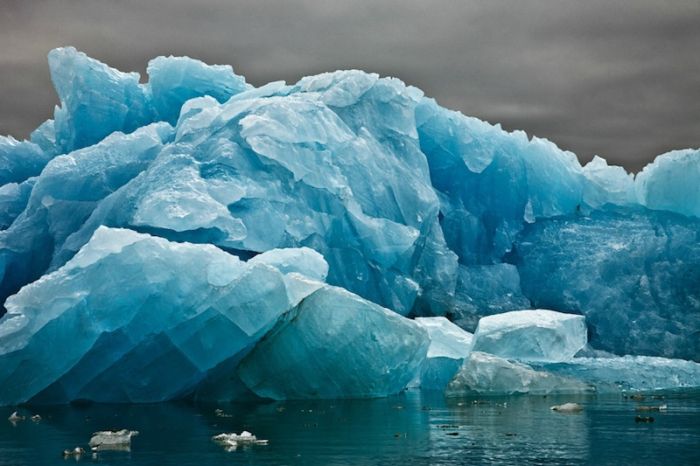 The Last Iceberg by Camille Seaman