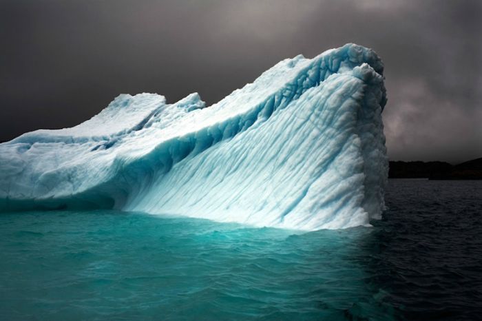 The Last Iceberg by Camille Seaman