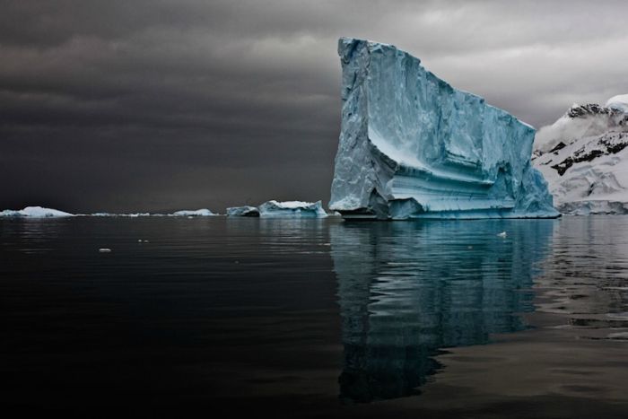 The Last Iceberg by Camille Seaman