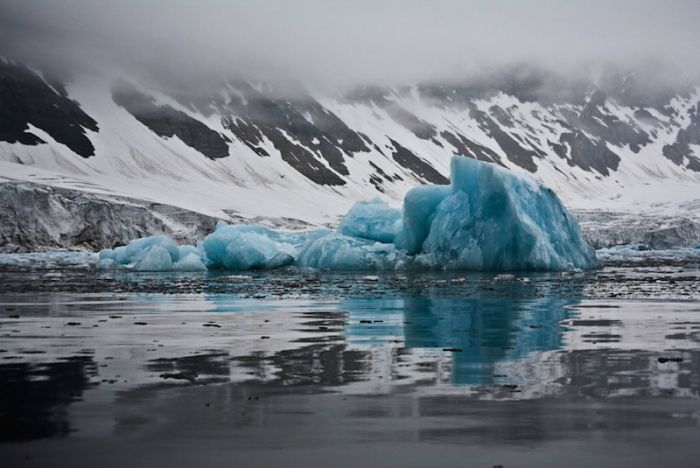 The Last Iceberg by Camille Seaman