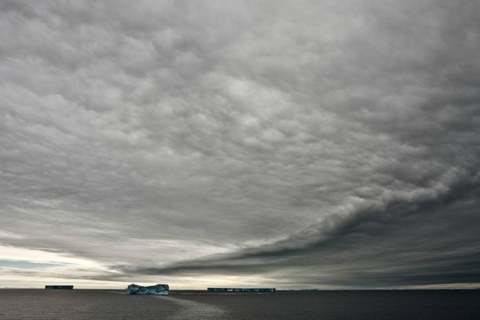 The Last Iceberg by Camille Seaman