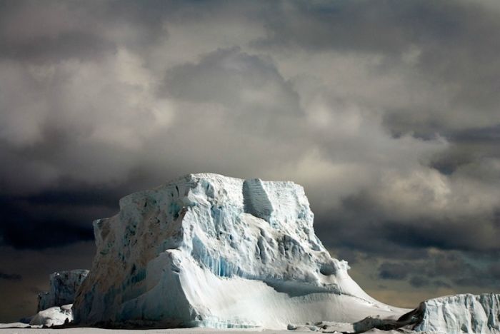 The Last Iceberg by Camille Seaman