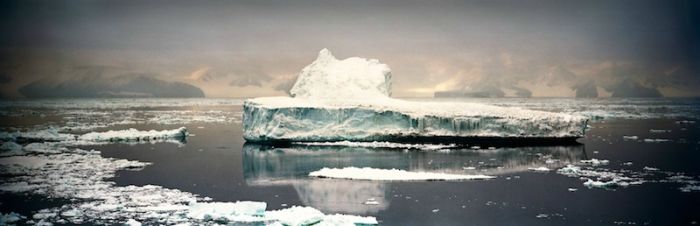 The Last Iceberg by Camille Seaman