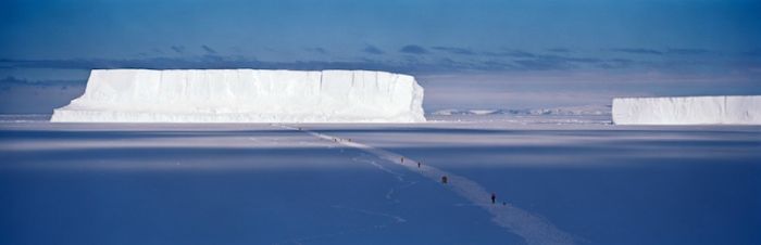 The Last Iceberg by Camille Seaman