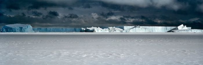 The Last Iceberg by Camille Seaman