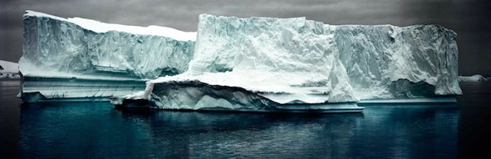 The Last Iceberg by Camille Seaman