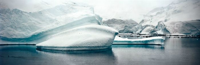 The Last Iceberg by Camille Seaman