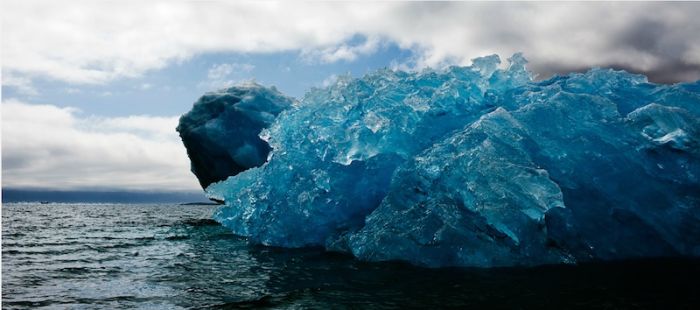 The Last Iceberg by Camille Seaman