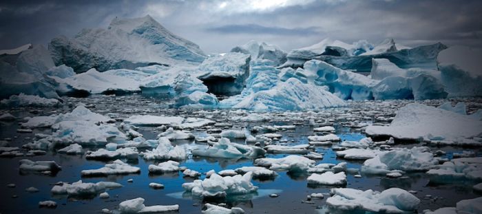 The Last Iceberg by Camille Seaman