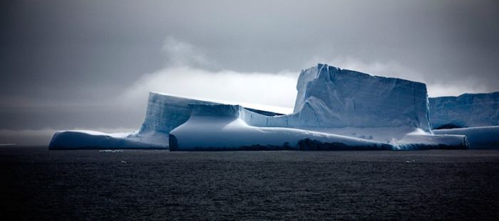 The Last Iceberg by Camille Seaman