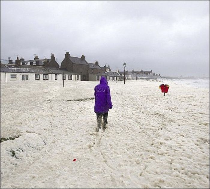 Cappuccino coast, Aberdeen, Scotland