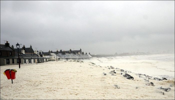 Cappuccino coast, Aberdeen, Scotland